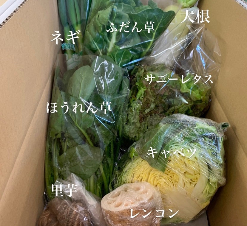 今週の愛菜連だよりをお届けいたします♪