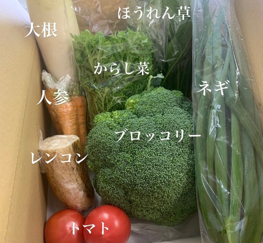 今週の愛菜連だよりになります♪