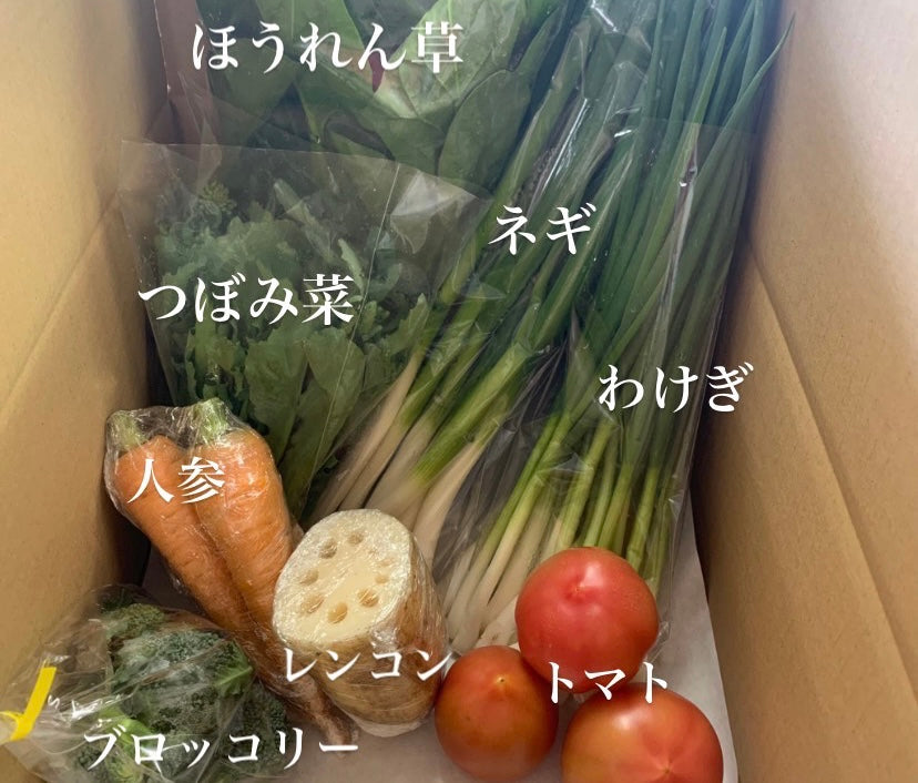 今週の愛菜連だよりをお届けいたします♪