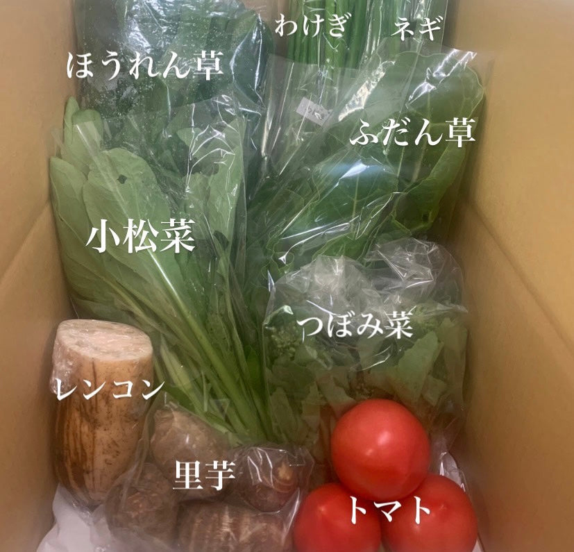 今週の愛菜連だよりをお届けいたします♪