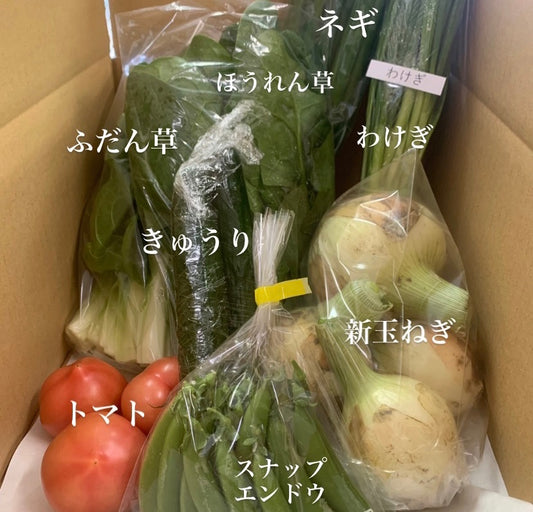 今週の愛菜連だよりをお届けいたします♪