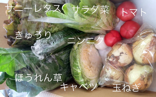 今週の愛菜連だよりをお届けいたします♪