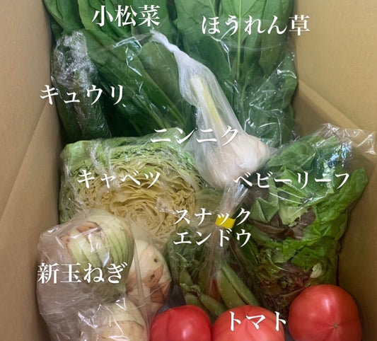 今週の愛菜連だよりをお届けいたします♪