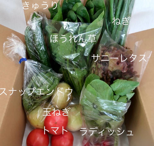 今週の愛菜連だよりをお届けいたします♪