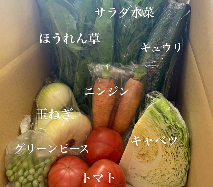 今週の愛菜連だよりをお届けいたします♪