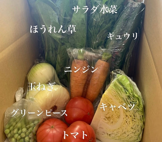 今週の愛菜連だよりをお届けいたします♪