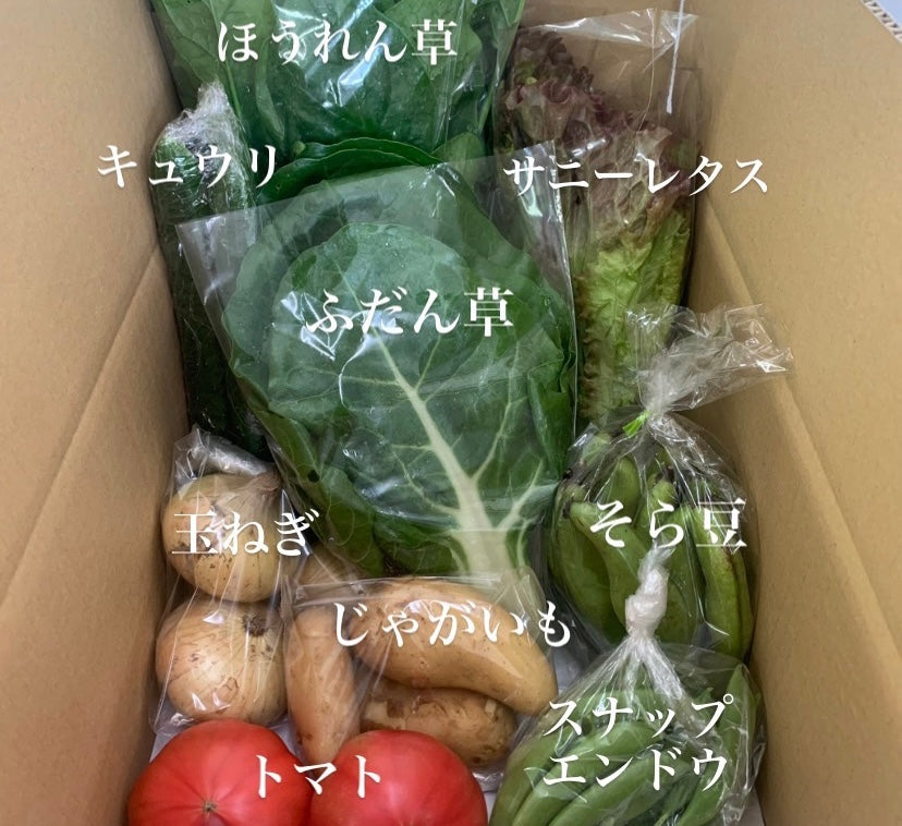 今週の愛菜連だよりをお届けいたします♪