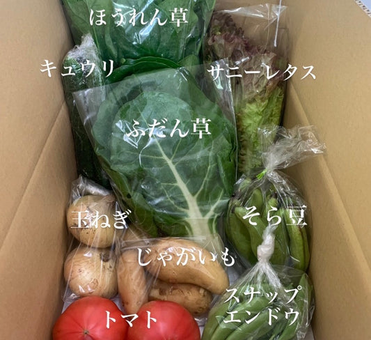 今週の愛菜連だよりをお届けいたします♪