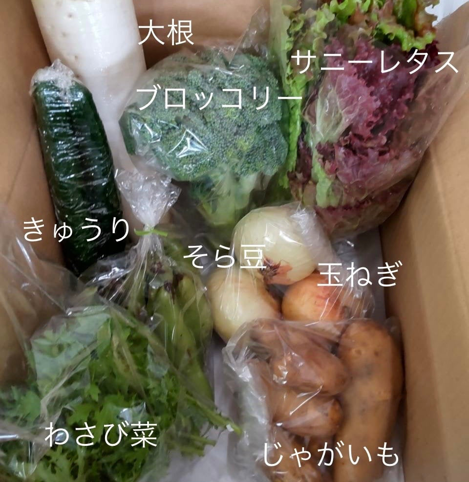 今週の愛菜連だよりをお届けいたします♪