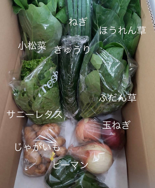 今週の愛菜連だよりをお届けいたします♪
