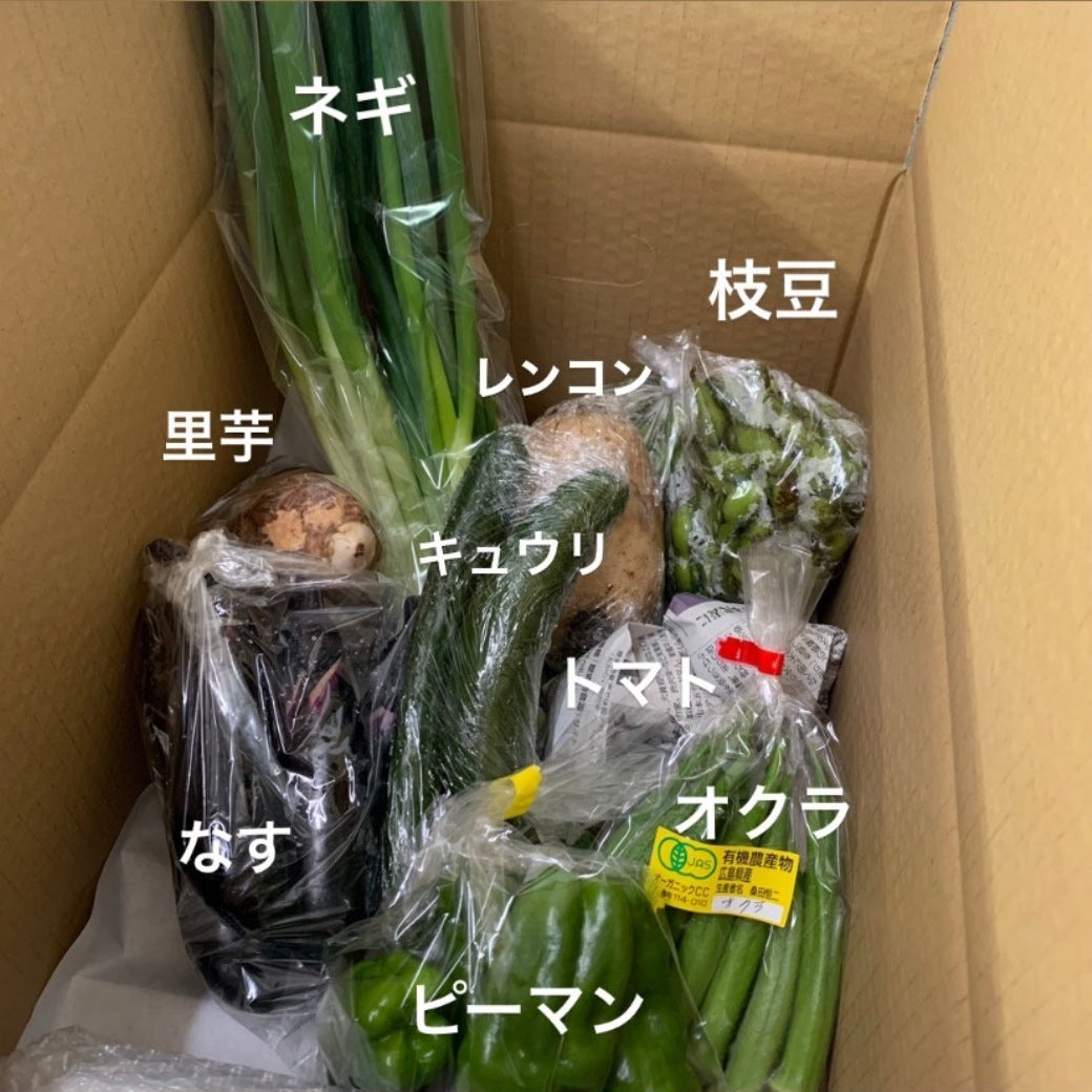 今週の愛菜連だよりと、野菜パック（4人用）の中身をお見せします♪