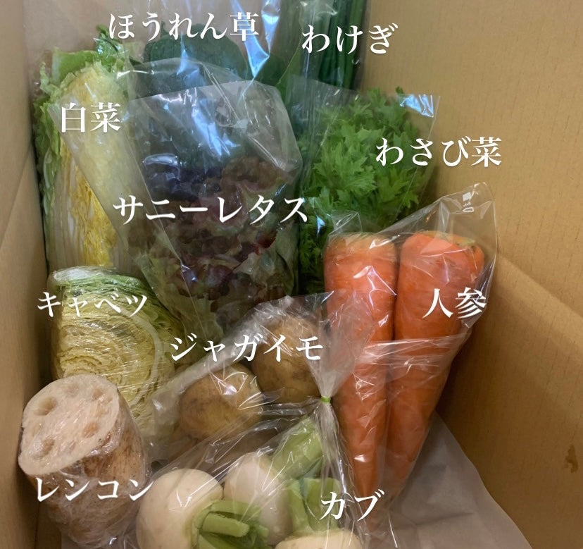 今週の愛菜連だよりをお届けいたします♪