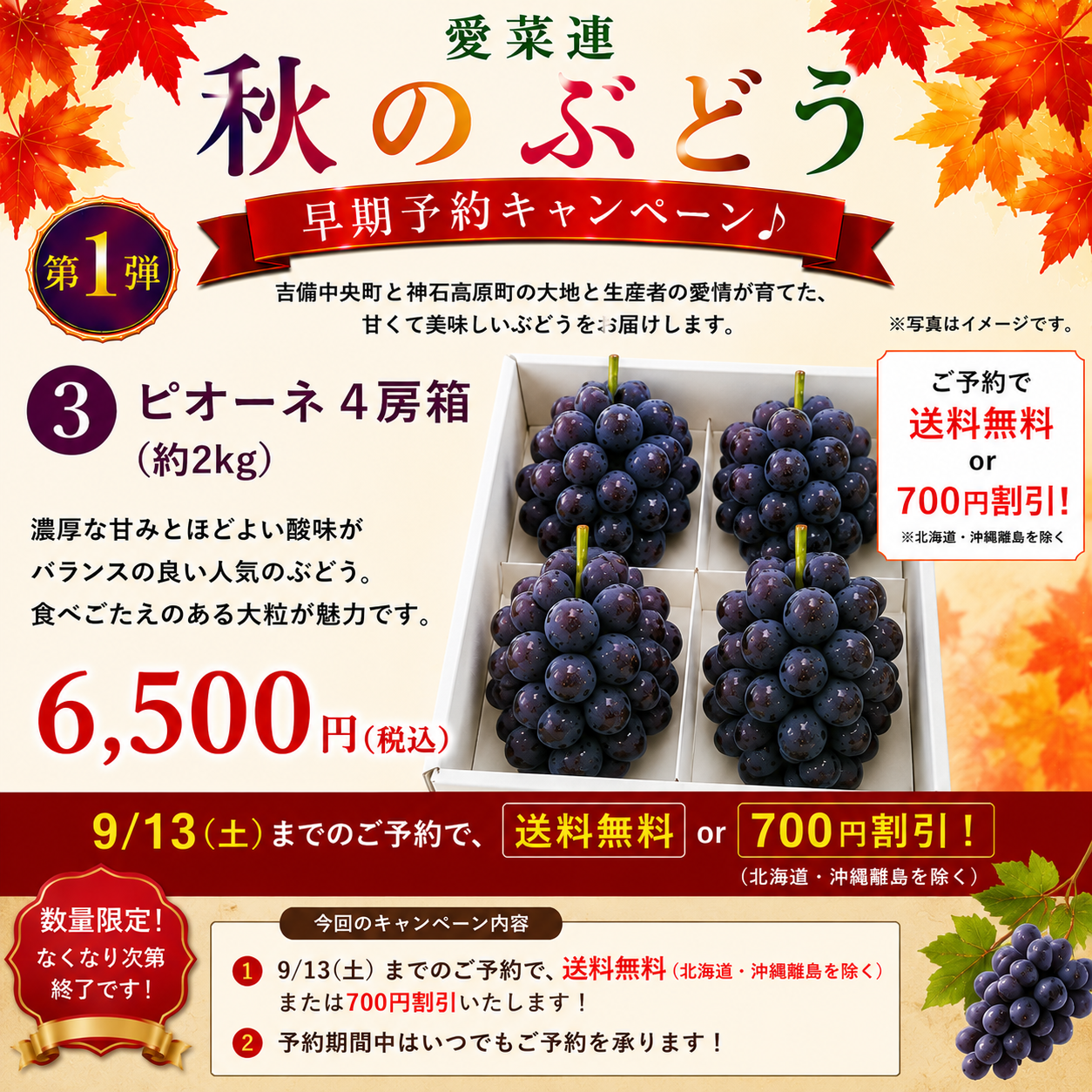 【訳あり・家庭用【産地直送】岡山県産　ニューピオーネ（種なし）　2kg箱（3～5房）
