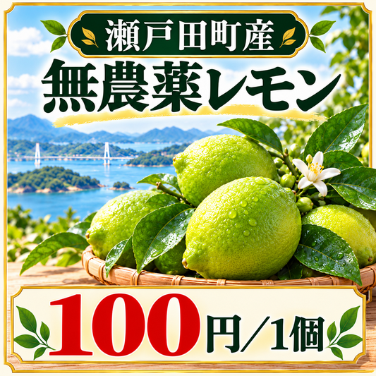 【無農薬】愛菜連のレモン　1個