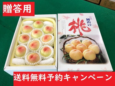 【早期予約キャンペーン】【贈答用】愛菜連の白桃（岡山県産）「晴れ未来」「白鳳」（10～11玉）【3.5kg中玉】