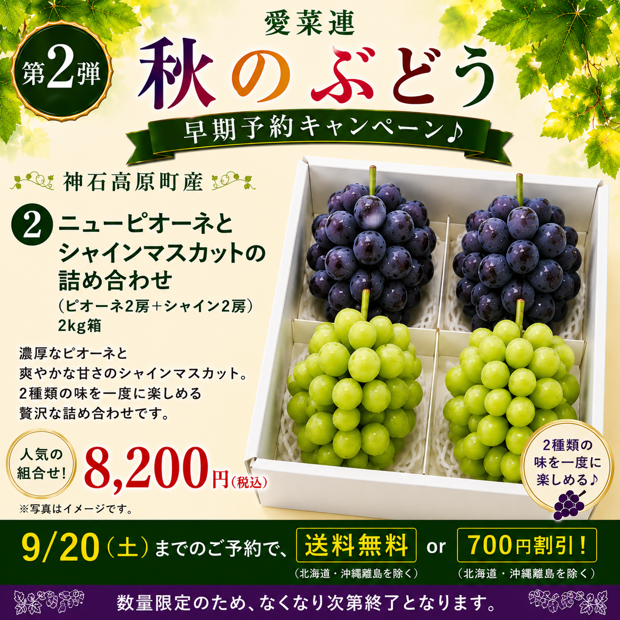 【早期予約で送料無料】愛菜連のシャインマスカット＆ピオーネ混合　2kg箱（4房）