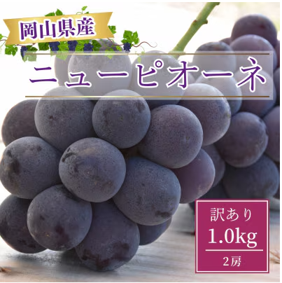 【訳あり・家庭用【産地直送】岡山県産　ニューピオーネ（種なし）　1kg箱（２房）