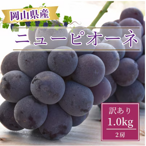 【訳あり・家庭用【産地直送】岡山県産　ニューピオーネ（種なし）　1kg箱（２房）
