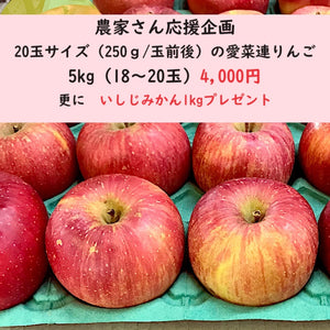 【農家さん応援企画】【小玉（18玉～20玉サイズ）】【みかん1kgプレゼント】愛菜連の低農薬リンゴ（サンフジ）　5kg