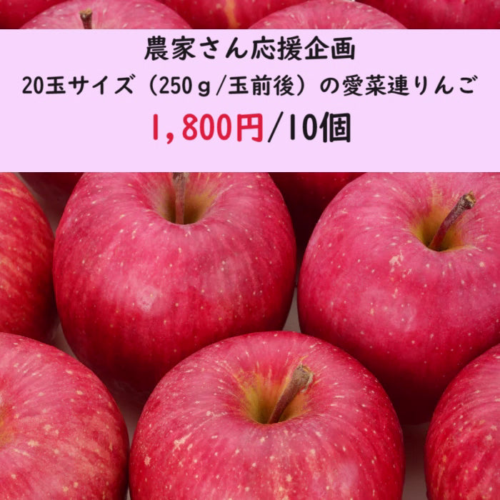 【農家さん応援企画】【小玉（18玉～20玉サイズ）】愛菜連の低農薬リンゴ（サンフジ）　10玉セット