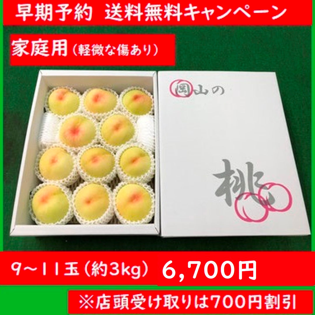 【早期予約で送料無料キャンペーン第３弾】【家庭用】愛菜連の白桃（岡山県産）「白皇」「恵白」（9～11玉）【約3kg】