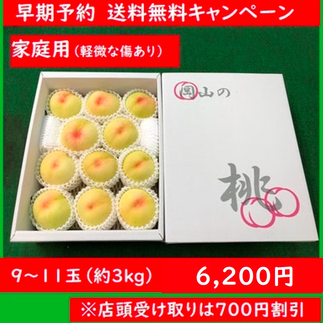 【送料無料キャンペーン】【家庭用】愛菜連の白桃（岡山県産）「晴れ未来」「白鳳」（9～11玉）【約3kg】