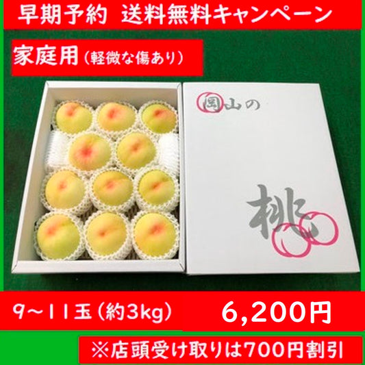 【送料無料キャンペーン】【家庭用】愛菜連の白桃（岡山県産）「晴れ未来」「白鳳」（9～11玉）【約3kg】