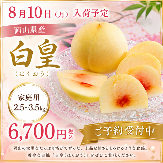 【家庭用】愛菜連の白桃（岡山県産）「白皇」「恵白」（9～11玉）【約3kg】