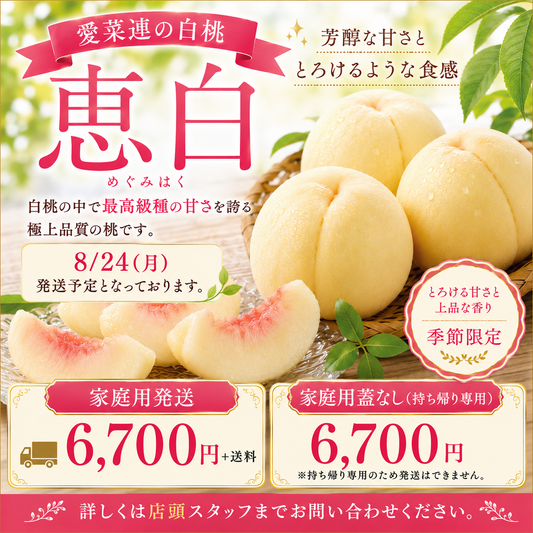 【家庭用】愛菜連の白桃（岡山県産）「恵白」（9～11玉）【約3kg】