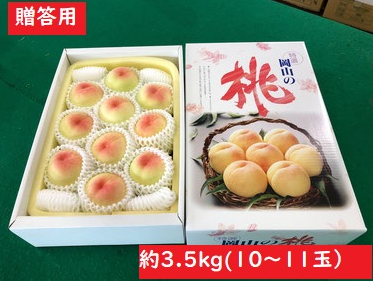 【早期予約キャンペーン】【贈答用】愛菜連の白桃（岡山県産）「晴れ未来」「白鳳」（10～11玉）【3.5kg中玉】