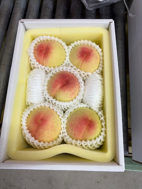 【早期予約　送料無料キャンペーン】【贈答用】愛菜連の白桃（岡山県産）「清水白桃」「おかやま夢白桃」（5玉）【1.5kg】