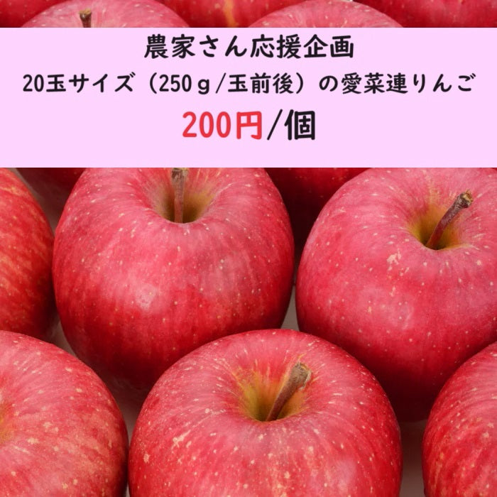 【農家さん応援企画】【小玉（18玉～20玉サイズ）】愛菜連の低農薬リンゴ（サンフジ）　１玉