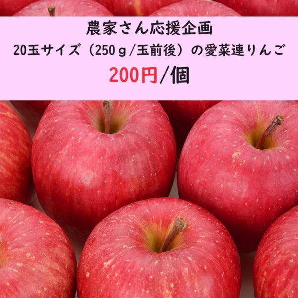 農家さん応援企画】【小玉（18玉～20玉サイズ）】愛菜連の低農薬リンゴ