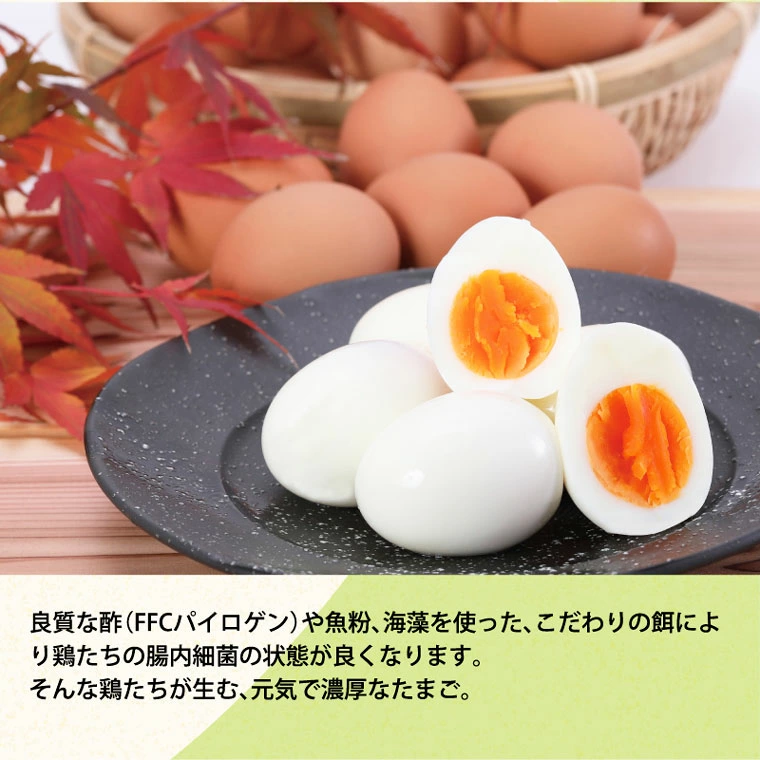 うねめもみじたまご (10玉）