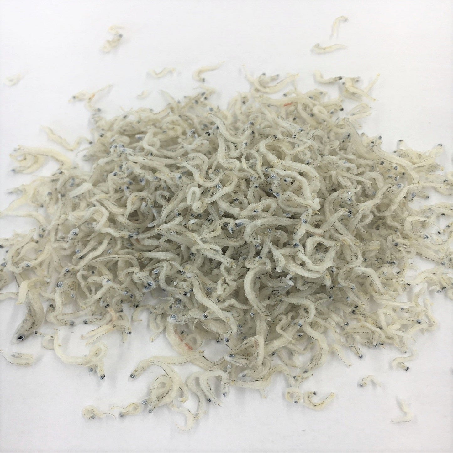 【6袋ご注文で1袋プレゼント】愛菜連のちりめんじゃこ80ｇ×6袋 【クール便】