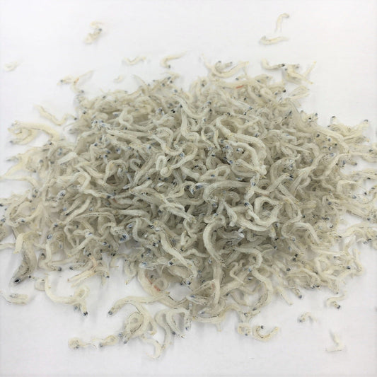 【6袋ご注文で1袋プレゼント】愛菜連のちりめんじゃこ80ｇ×6袋 【クール便】
