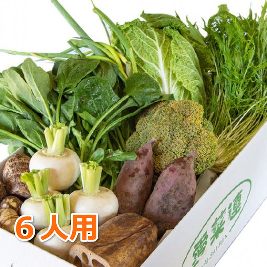 野菜おまかせパック（6人用）【クール便】