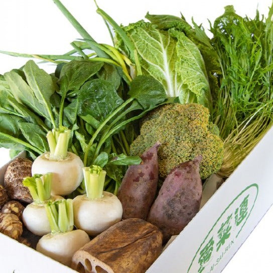 野菜おまかせパック（6人用）