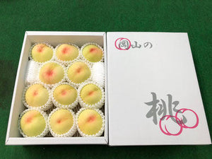 【早期予約　送料無料キャンペーン】【家庭用】愛菜連の白桃（岡山県産）「加納岩白桃」「白鳳」（9～11玉）【約3kg】