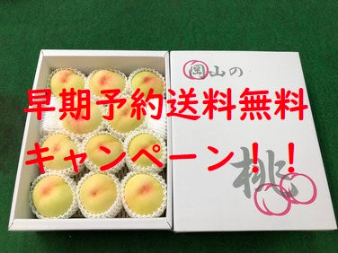 【早期予約で送料無料キャンペーン第2弾】【家庭用】愛菜連の白桃（岡山県産）「清水白桃」「おかやま夢白桃」「白麗」（9～11玉）【約3kg】