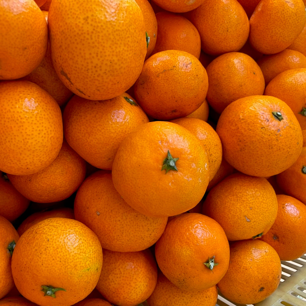 愛菜連のいしじみかん　1kg