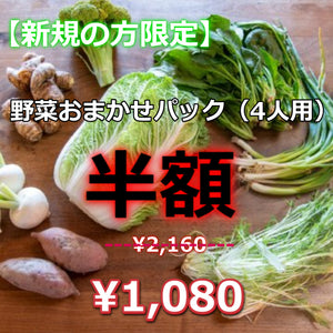 【新規の方限定】野菜おまかせパック（4人用）半額　